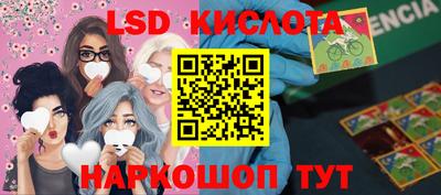 гашик Новозыбков