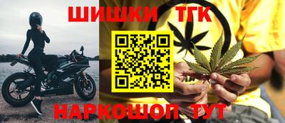гашик Новозыбков