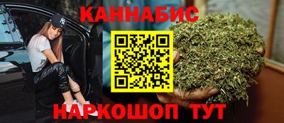 гашик Новозыбков